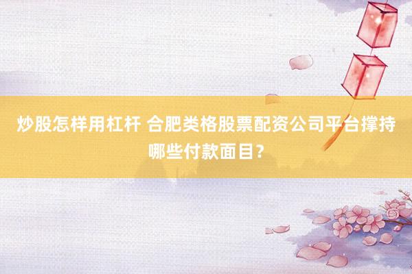 炒股怎样用杠杆 合肥类格股票配资公司平台撑持哪些付款面目？